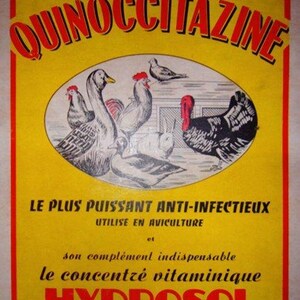 1930 - 1940er Jahre Original französischer Karton, Hydrosol Quinoccitazin
