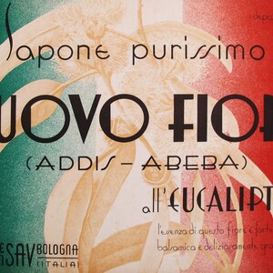 1930s Italian Art Deco Carton, Nuovo Fiore Advertisement - Anonymous