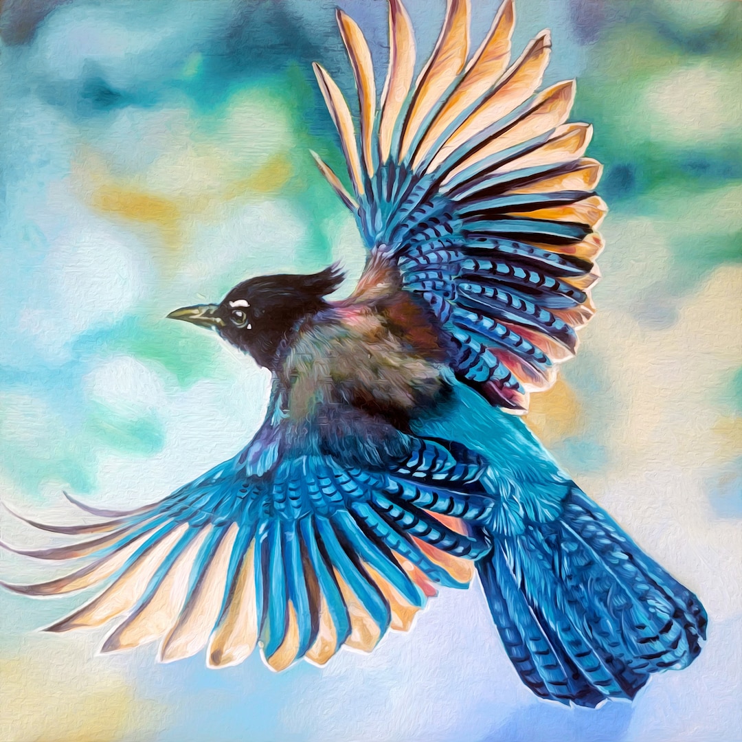 Jay R Prints Stellar's Jay Blue Jay Giclee Art Print - Etsy