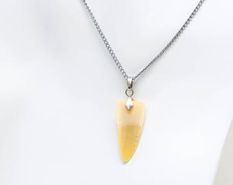 Vintage Shark Tooth Necklace