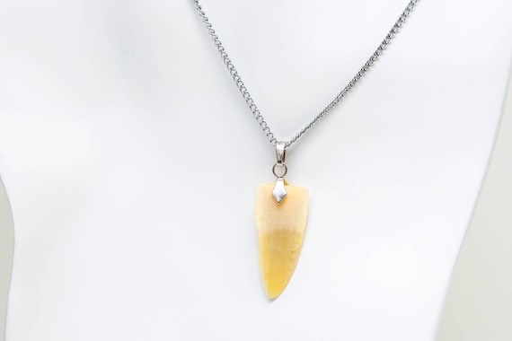 Vintage Genuine Real Shark Tooth Necklace NOS With Tags Silver Tone Chain Tooth Pendant