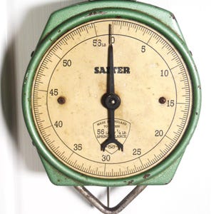 Salter No 56 Scales - Etsy