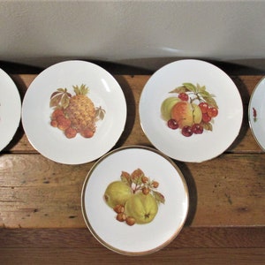 Lot of 5 Salad/Dessert Plates Bareuther- E&R- Jaeger Co  Fruits Nuts 7 7/8&quot; Germany Gold Plate Rims Nice Condition