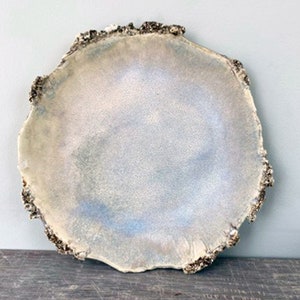 Oyster Dinner Plate