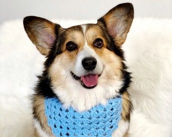Handmade Crochet Corgi Dog Bandana "Baby Corgi Boy" in Summer Sky Blue Tone