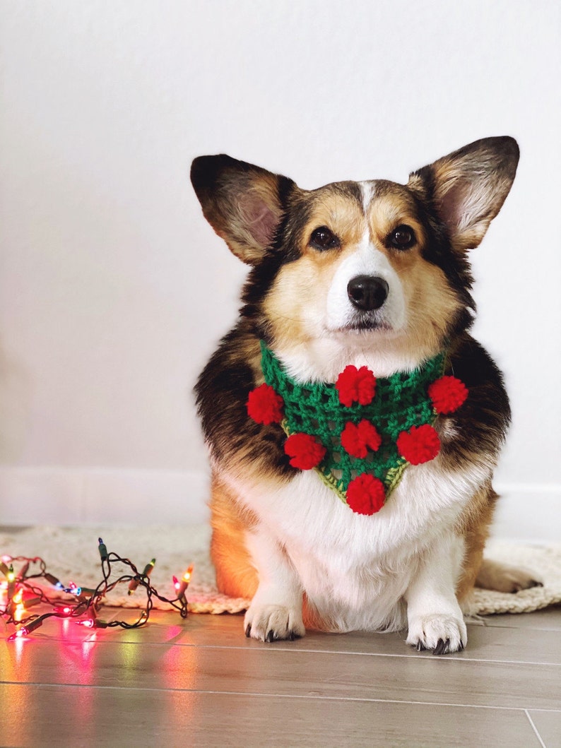 Unique Handmade Crochet Christmas and Winter Holidays Corgmas Dog Corgi Bandana in Green with Red Pompoms Colorful Dog Clothes image 1