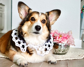 Most ADORABLE Handmade Crochet Victorian Collar Pet Accessory in White