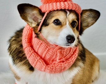 Cozy Corgi Dog Puppy Warm Handmade Crochet Hat Infinity Scarf Leg Warmers Set