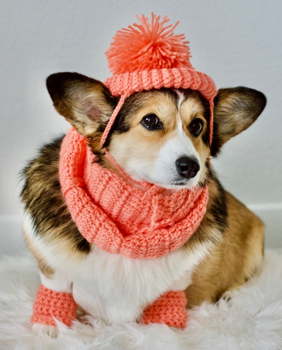 Crochet dog infinity scarf 2025