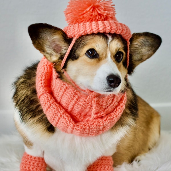 Cozy Corgi Dog Puppy Warm Handmade Crochet Hat Infinity Scarf Leg Warmers Set