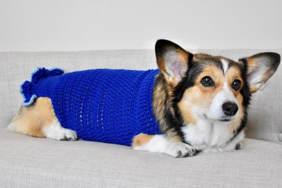 corgi knit sweater