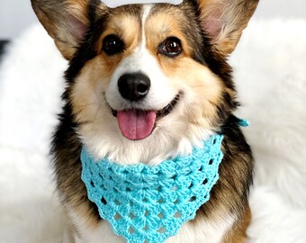 Handmade Crochet Corgi Dog Bandana "Baby Corgi Boy" in Tiffany Blue Tone