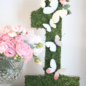 Garden, Forest Enchanted Letters or Numbers, Butterfly Shimmer Box