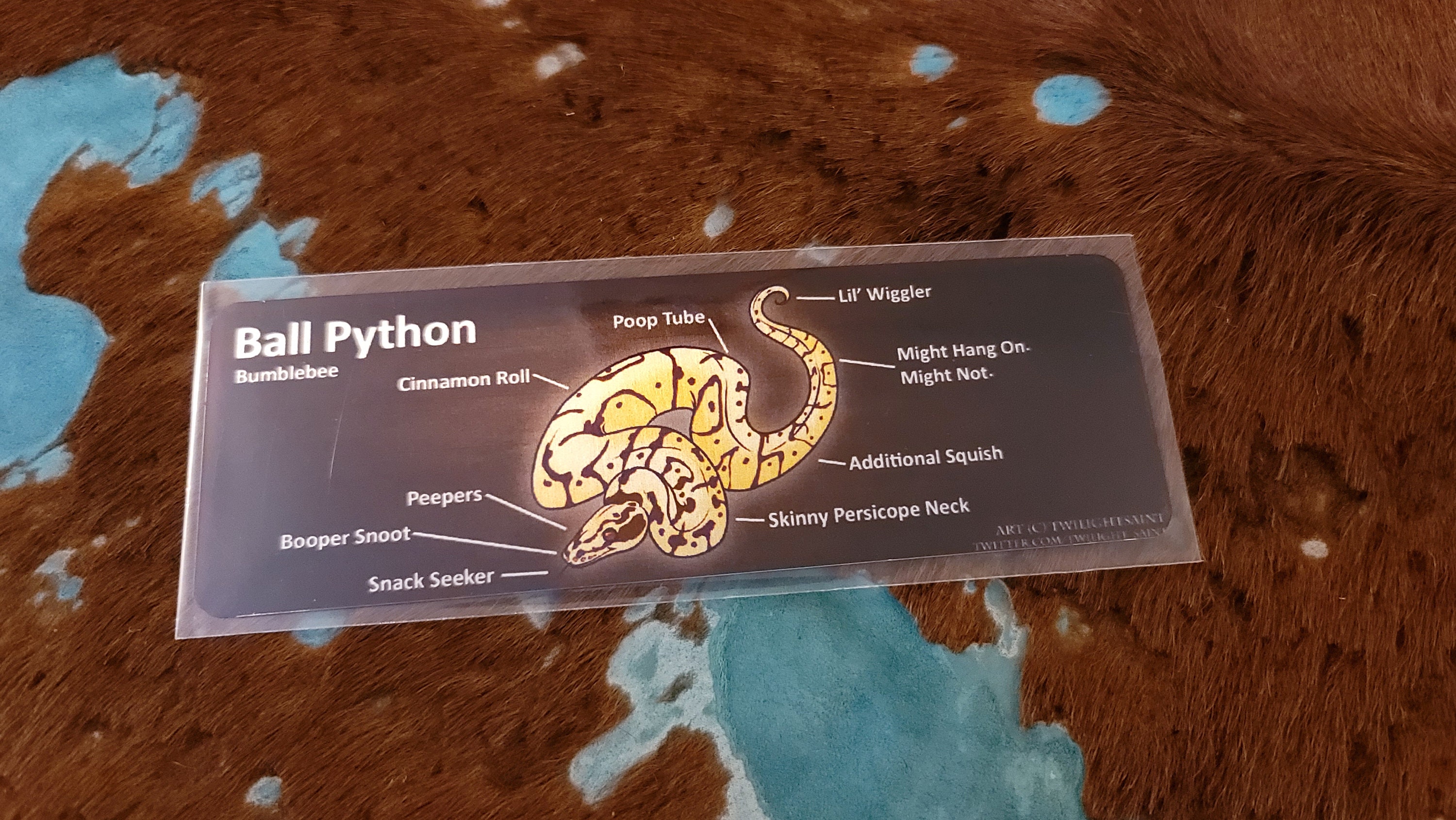 Metal Aluminum Bookmarks Anatomy of a Ball Python | Etsy
