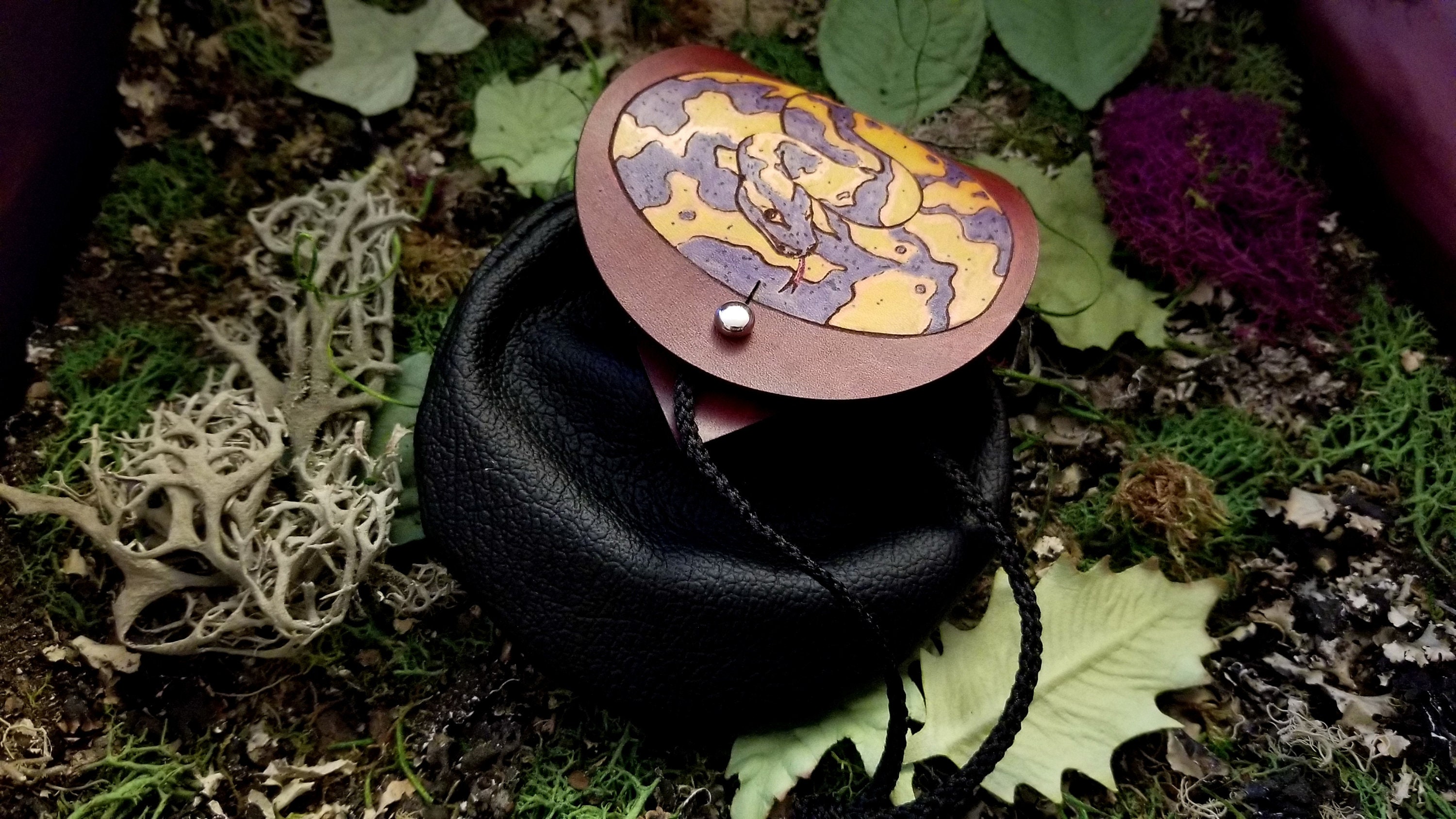 Haku - Fundraiser for Sick Ball Python, Haku Banana Ball Python Dice ...