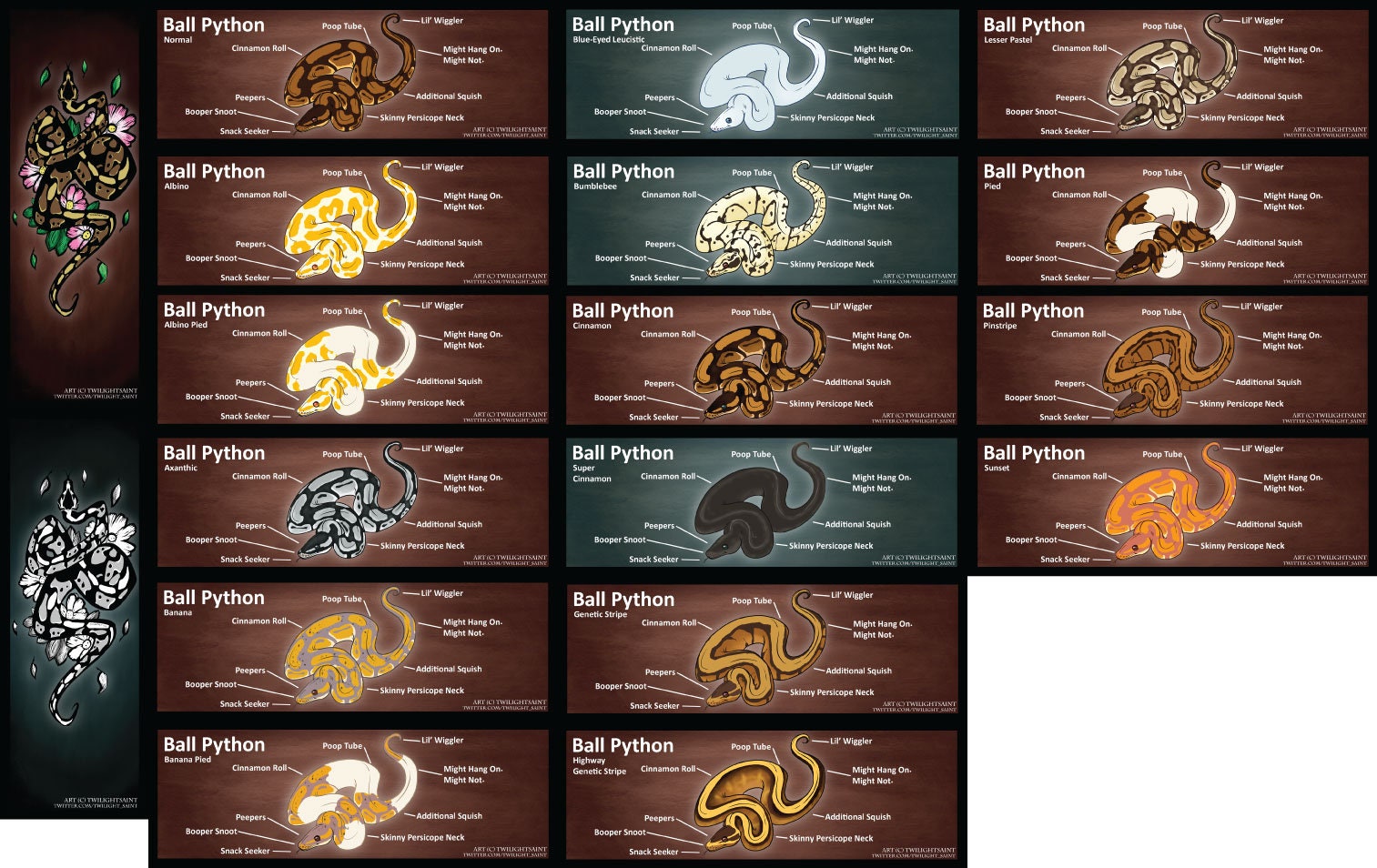 Metal Aluminum Bookmarks Anatomy of a Ball Python | Etsy