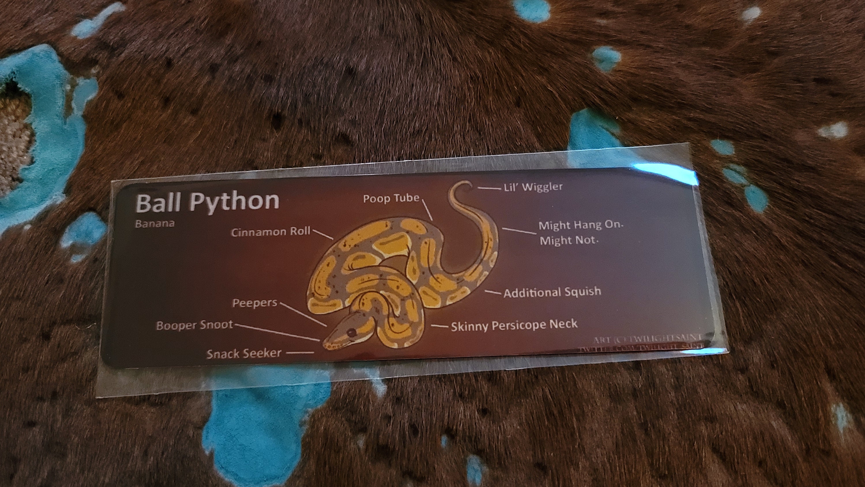Metal Aluminum Bookmarks Anatomy of a Ball Python | Etsy