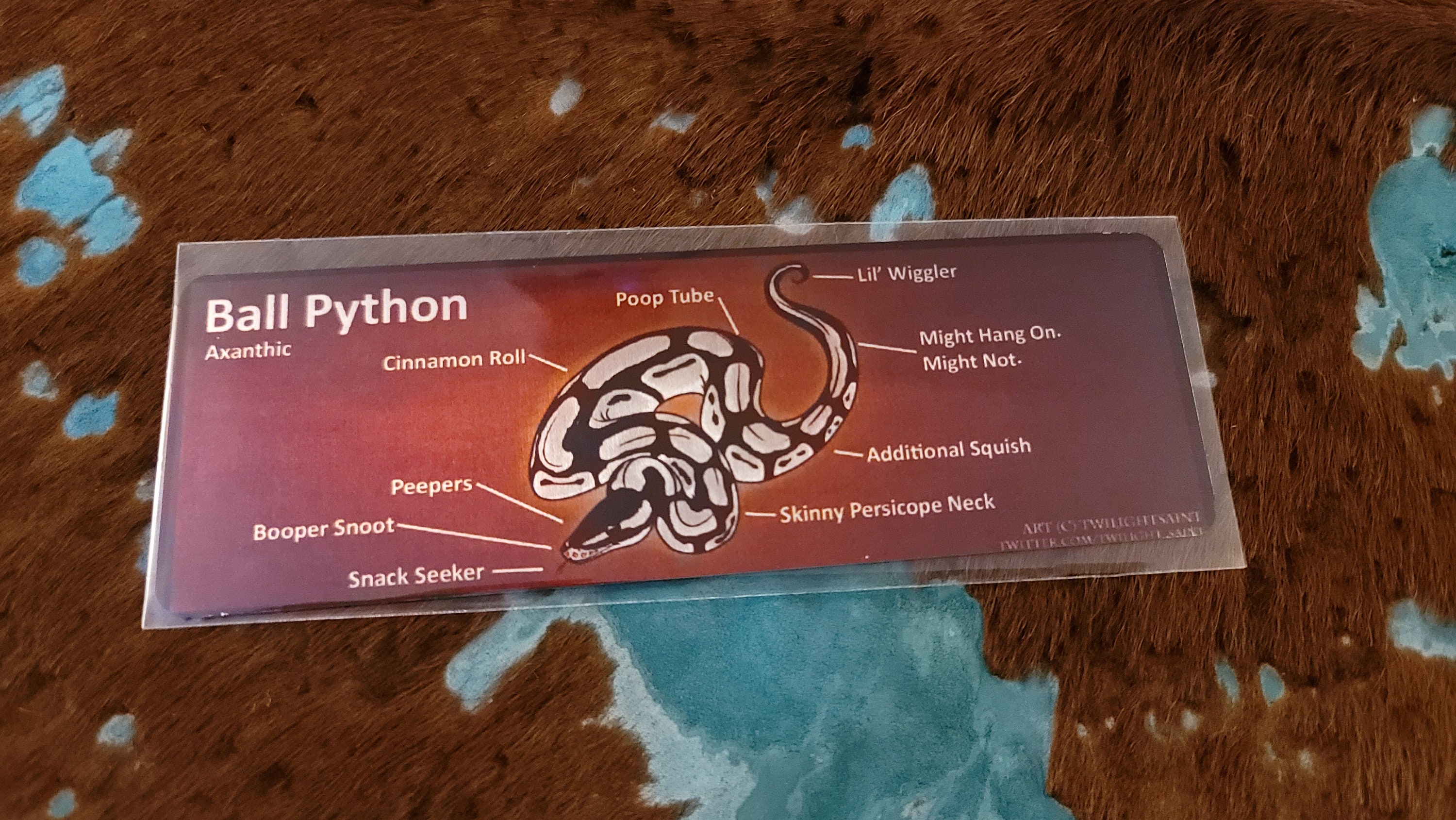 Metal Aluminum Bookmarks Anatomy of a Ball Python | Etsy