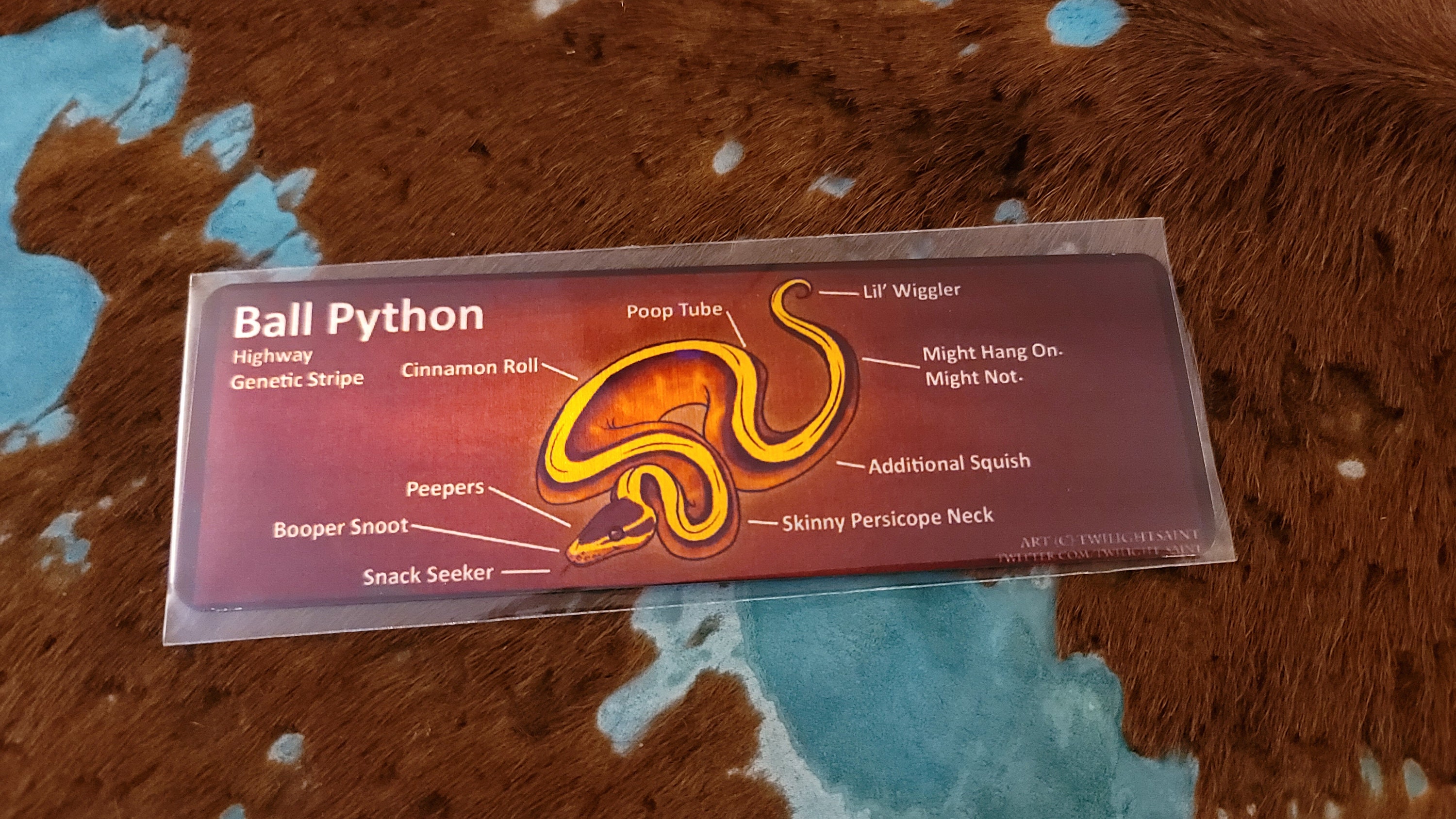 Metal Aluminum Bookmarks Anatomy of a Ball Python | Etsy