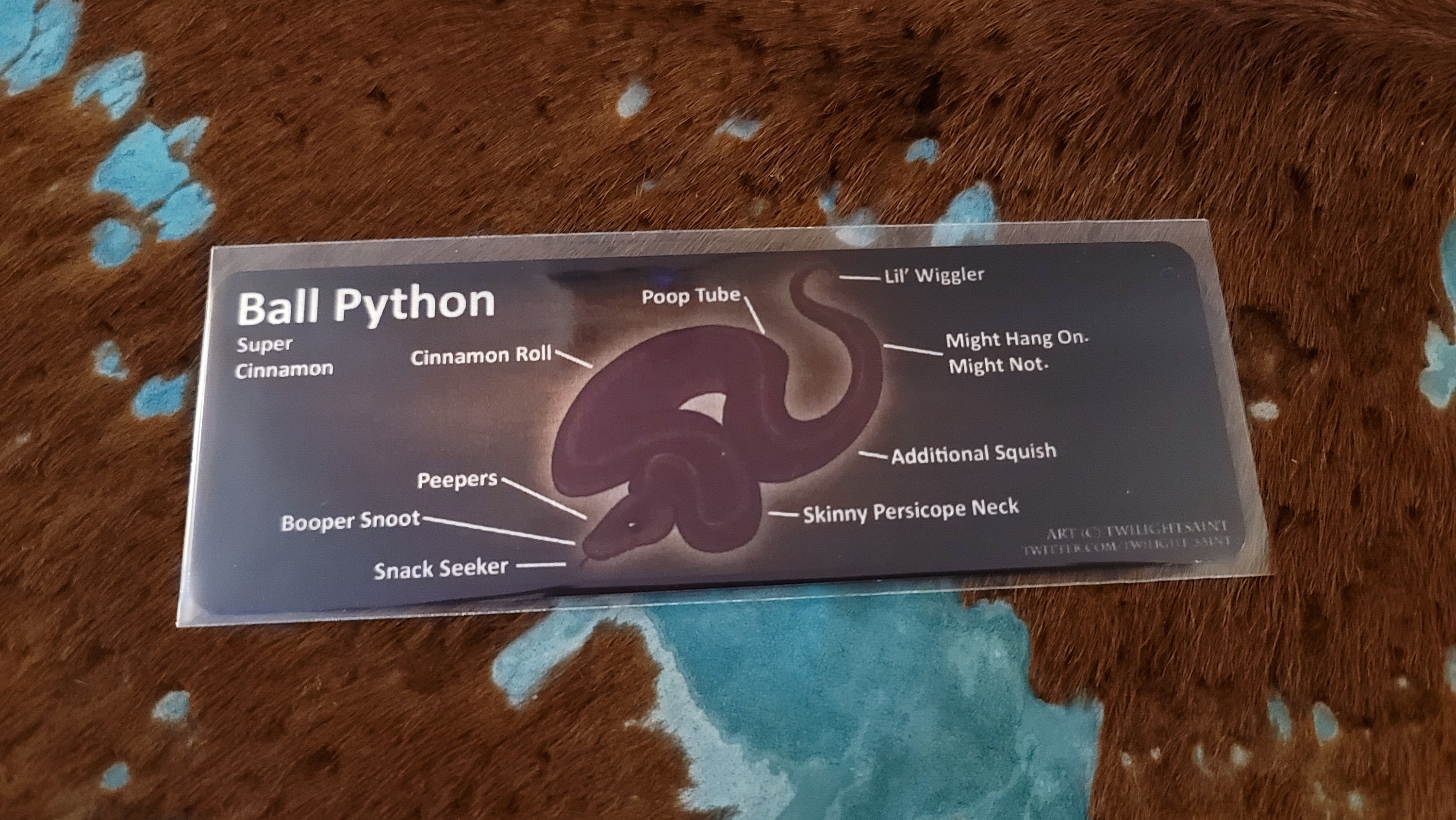 Metal Aluminum Bookmarks Anatomy of a Ball Python | Etsy