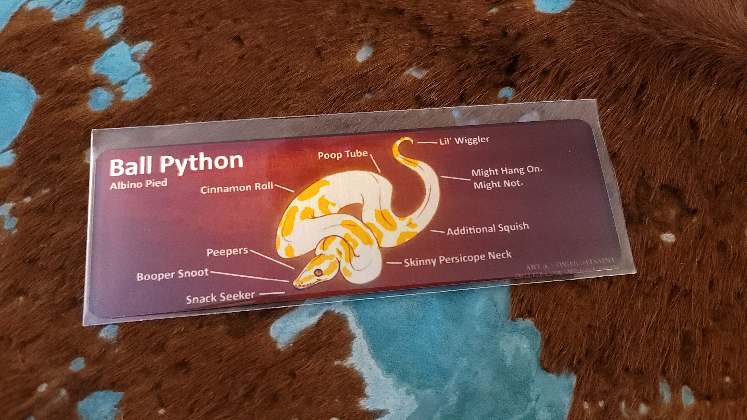 Metal Aluminum Bookmarks Anatomy of a Ball Python | Etsy