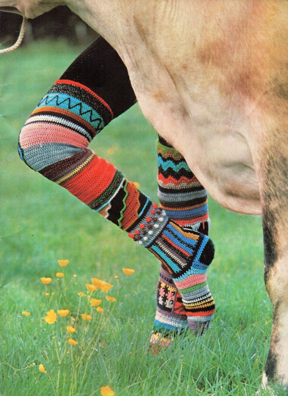 Womens clearance coloured socks