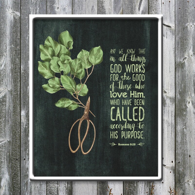 Romans 828 and We Know God Works for the Good Blackboard Pruning Bible