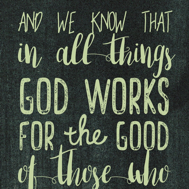 Romans 828 and We Know God Works for the Good Blackboard Pruning Bible