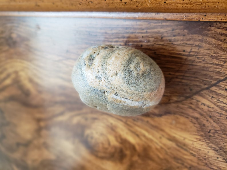 Może przedstawiać: Gładki, owalny kamień z mieszanką szarych, beżowych i białych pasm. Skała ma naturalny, zwietrzały wygląd i spoczywa na drewnianej powierzchni o ciepłym, brązowym odcieniu. Widoczna jest faktura kamienia.