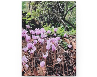 Pink Cyclamen Wildflowers Hardcover Journal | Nature Notebook, Floral Writing Diary