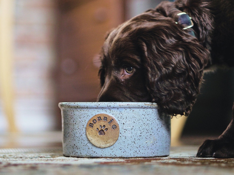 Personalised Pottery Dog Bowl