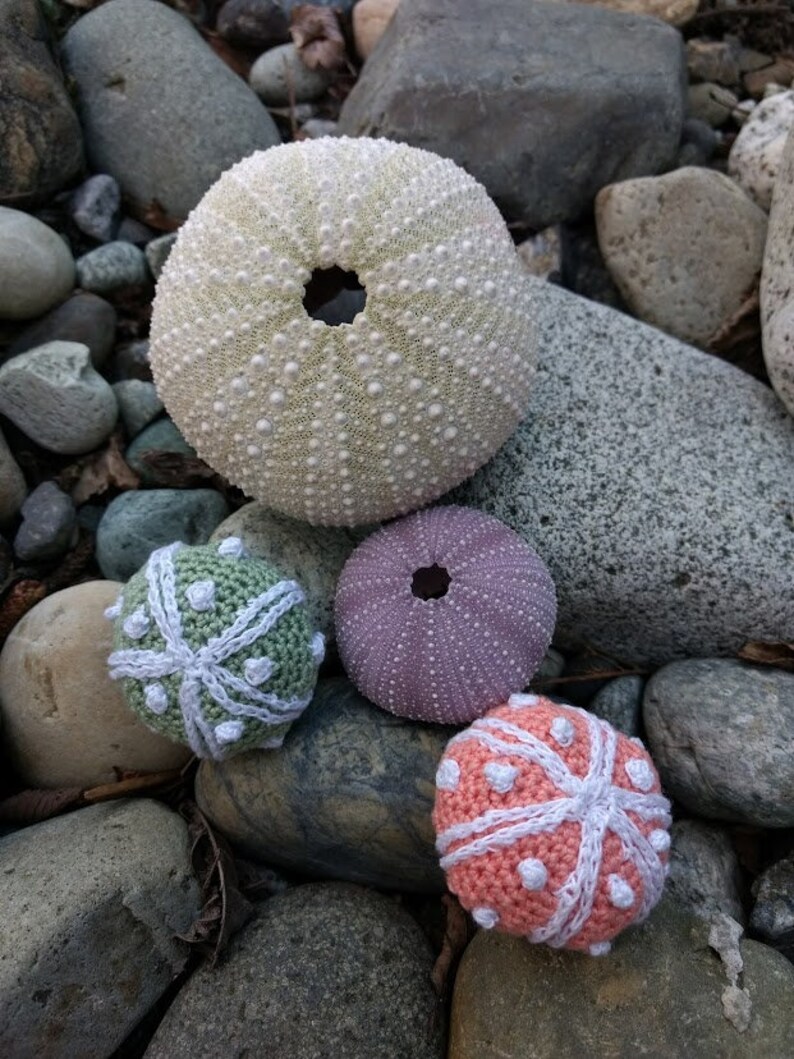 Crochet Sea Urchin Plush Amigurumi Stuffed Sea Creatures Etsy