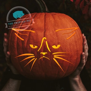 Puede incluir: Una calabaza naranja tallada con un diseño de cara de gato. Los ojos, la nariz y los bigotes del gato están recortados, creando una decoración de Halloween. El texto "THE PRINTED PIG @PRINTEDPIGWORKSHOP" es visible en la parte superior izquierda.