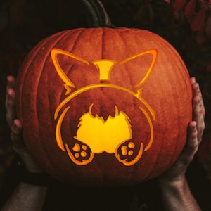 May include: A carved pumpkin with a lit-up design of a dog's rear end. The pumpkin is orange and the design is yellow.