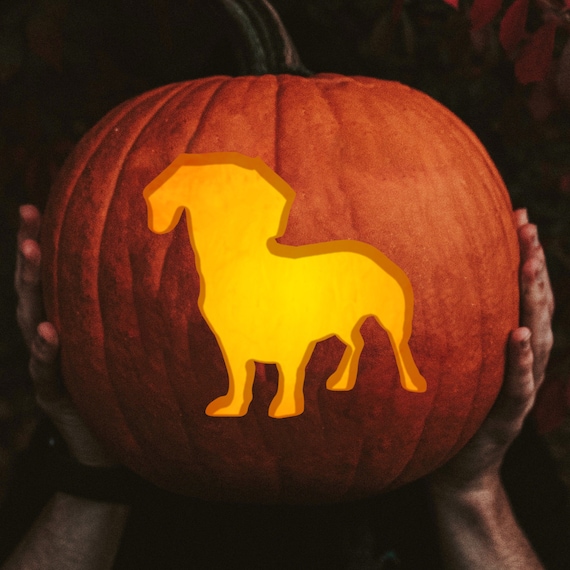 Wiener Dog / Silhouette Series Printable Pumpkin Carving Etsy