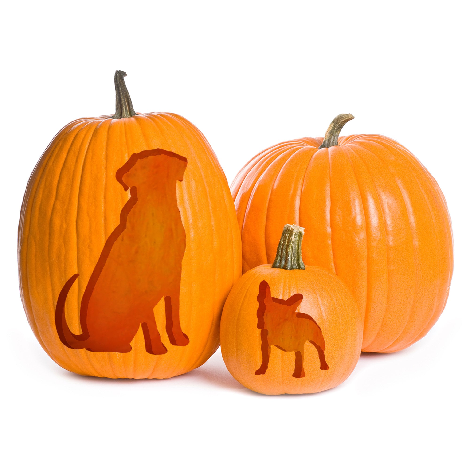 Easy Dog Pumpkin Carving