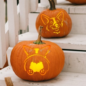 May include: Two orange pumpkins carved with Corgi dog designs. One pumpkin features the dog's face, and the other shows the dog's rear end. The pumpkins are displayed on white wooden steps, creating a festive Halloween decoration.