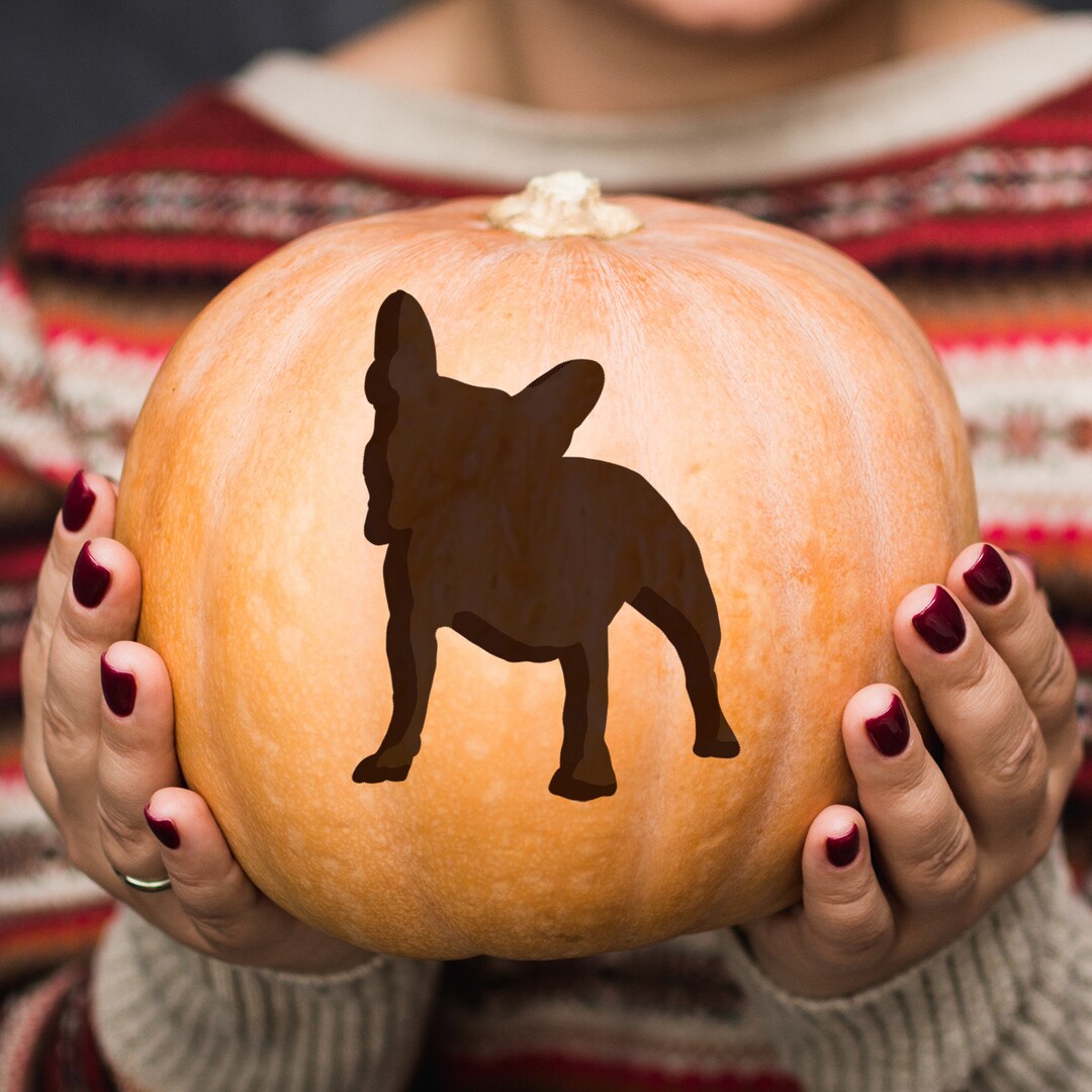 Printable Frenchie Pumpkin Stencil Printable Frenchie Pumpkin Stencil
