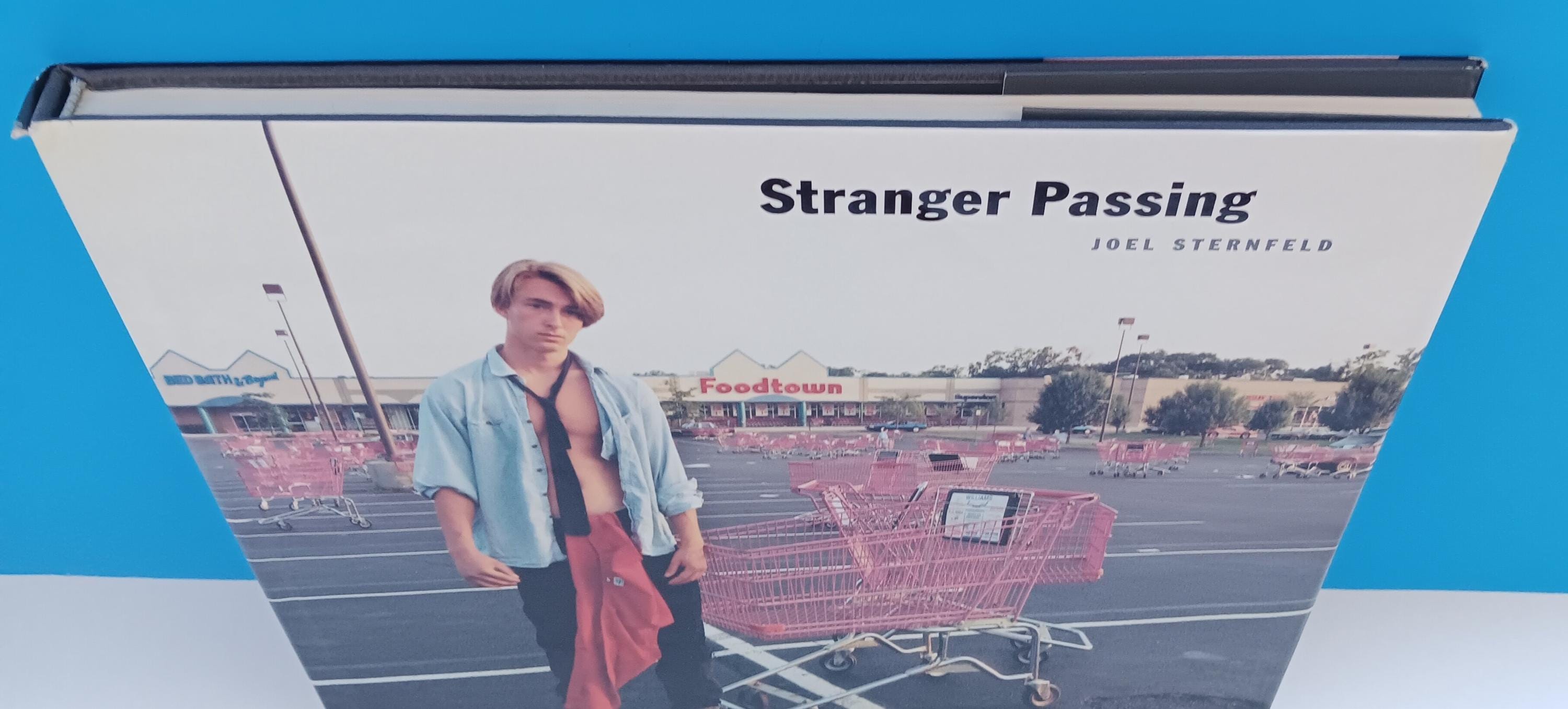 JOEL STERNFELD STRANGER PASSING 大型本 Stranger Passing | Joel STERNFELD, Ian Frazier, Douglas R. Nickel