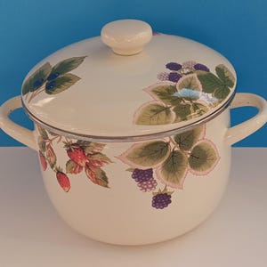 May include: Cream-colored enamelware pot with lid, featuring a berry and leaf design in red, purple, and green. The pot has two side handles and a cream-colored knob on the lid. A classic kitchenware item.