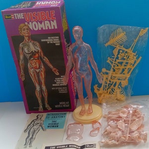 Amazon | プラモデル『RENWAL／THE VISIBLE WOMAN』未組立品