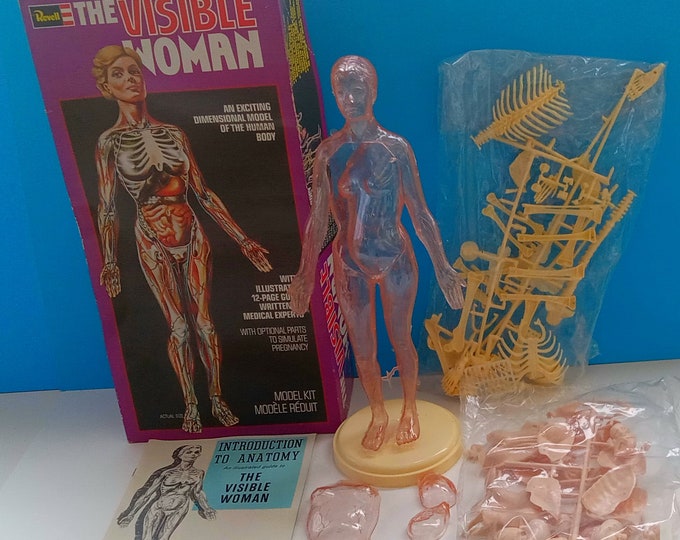 Vintage 1977 the Visible Woman Plastic Anatomy Model Kit H901 by Revell, Retro Female Anatomy