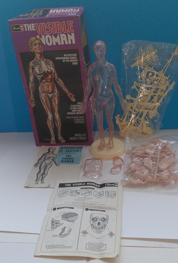 Vintage 1977 the Visible Woman Plastic Anatomy Model Kit H901 - Etsy