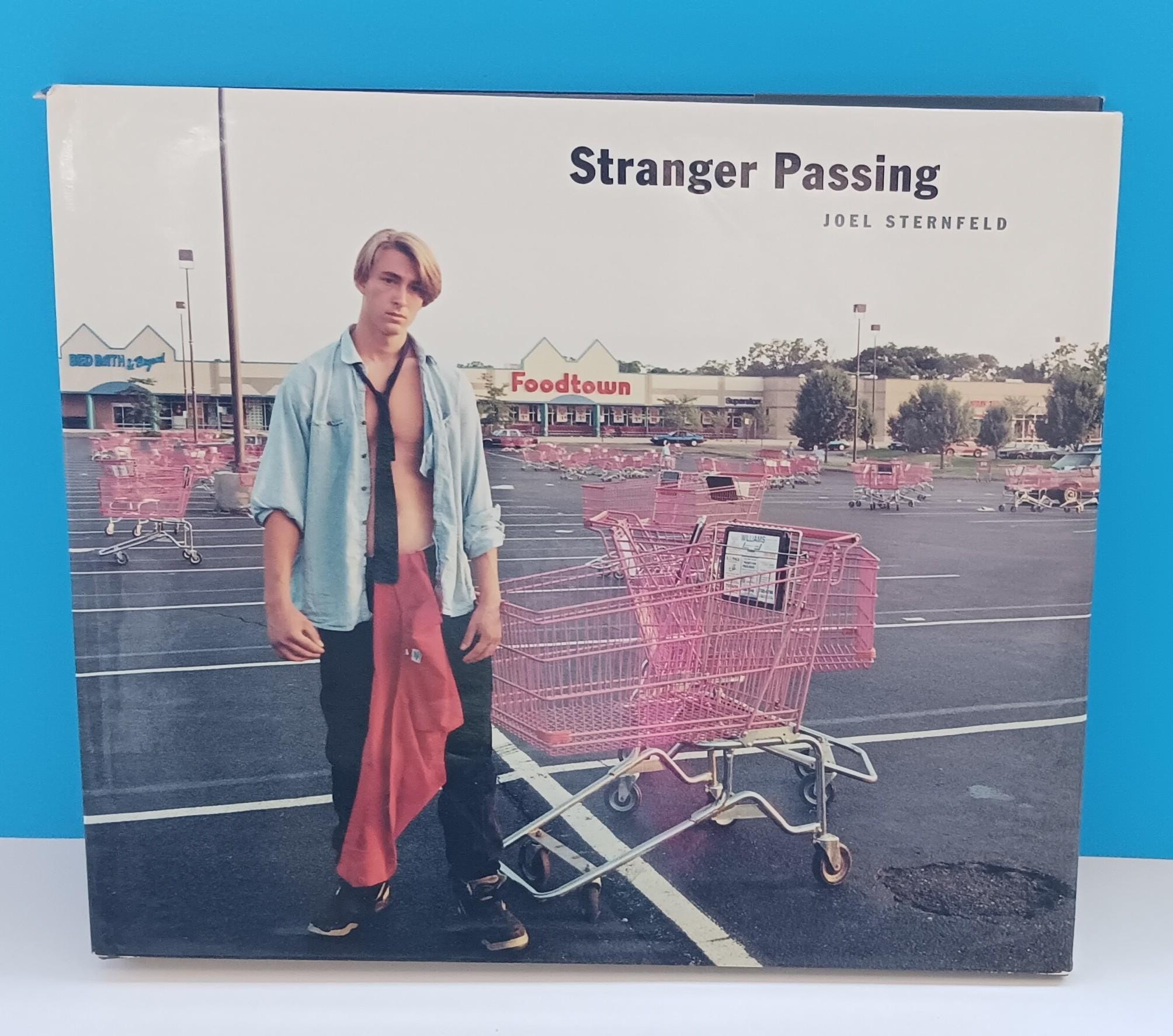 アート・デザイン・音楽 Stranger Passing / Joel Sternfeld Joel Sternfeld — Stranger Passing – Wolf Books