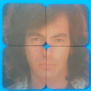 Handmade Neil Diamond Puzzle Coaster Set: Heat Transfer Rubber Drink Coasters