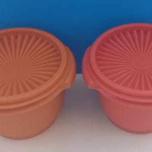 Op de afbeelding: Twee plastic opbergcontainers met deksels. De container links is oranje en de container rechts is roze.