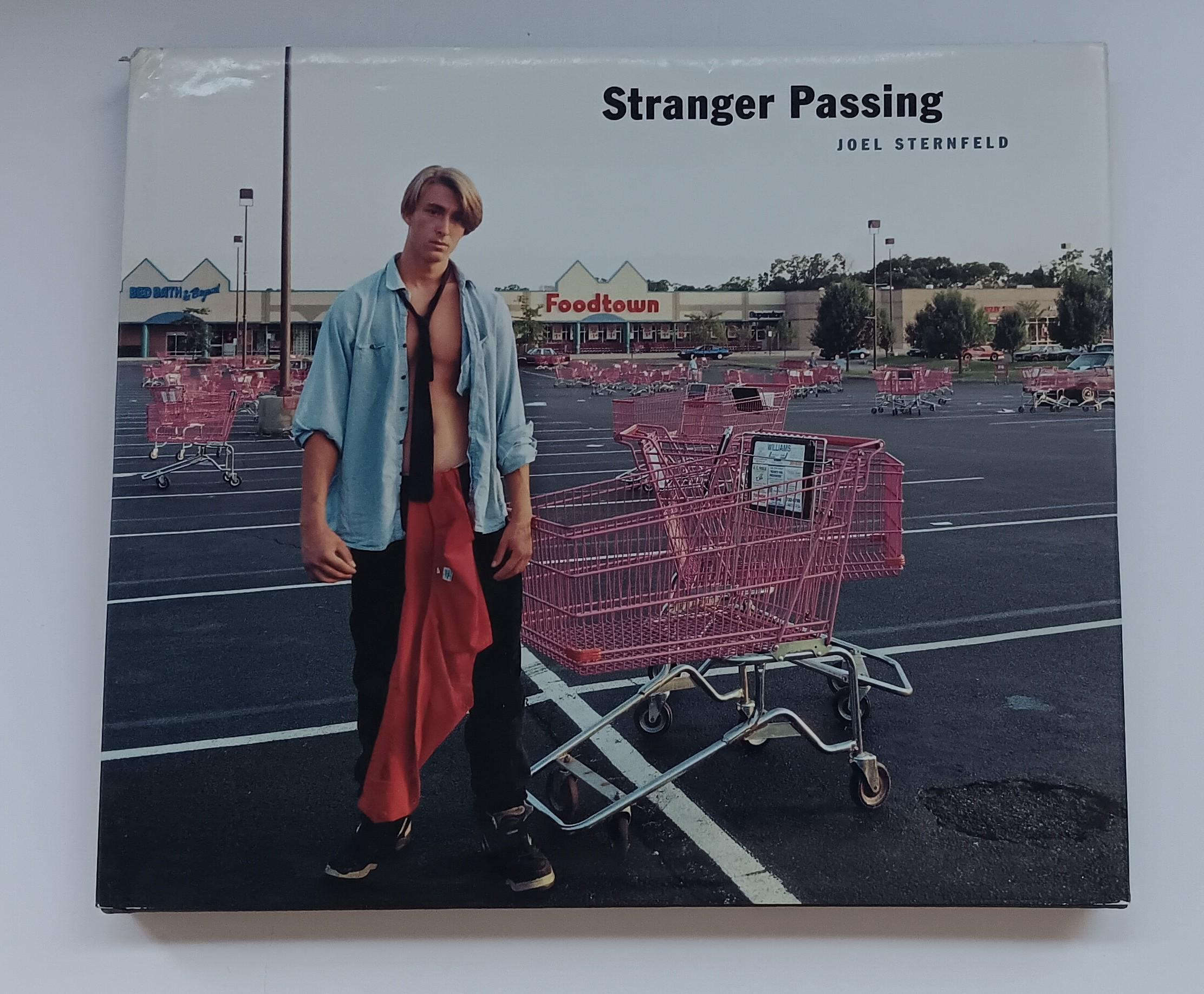 アート・デザイン・音楽 Stranger Passing Joel Sternfeld アート・デザイン・音楽 Stranger Passing / Joel Sternfeld Stranger