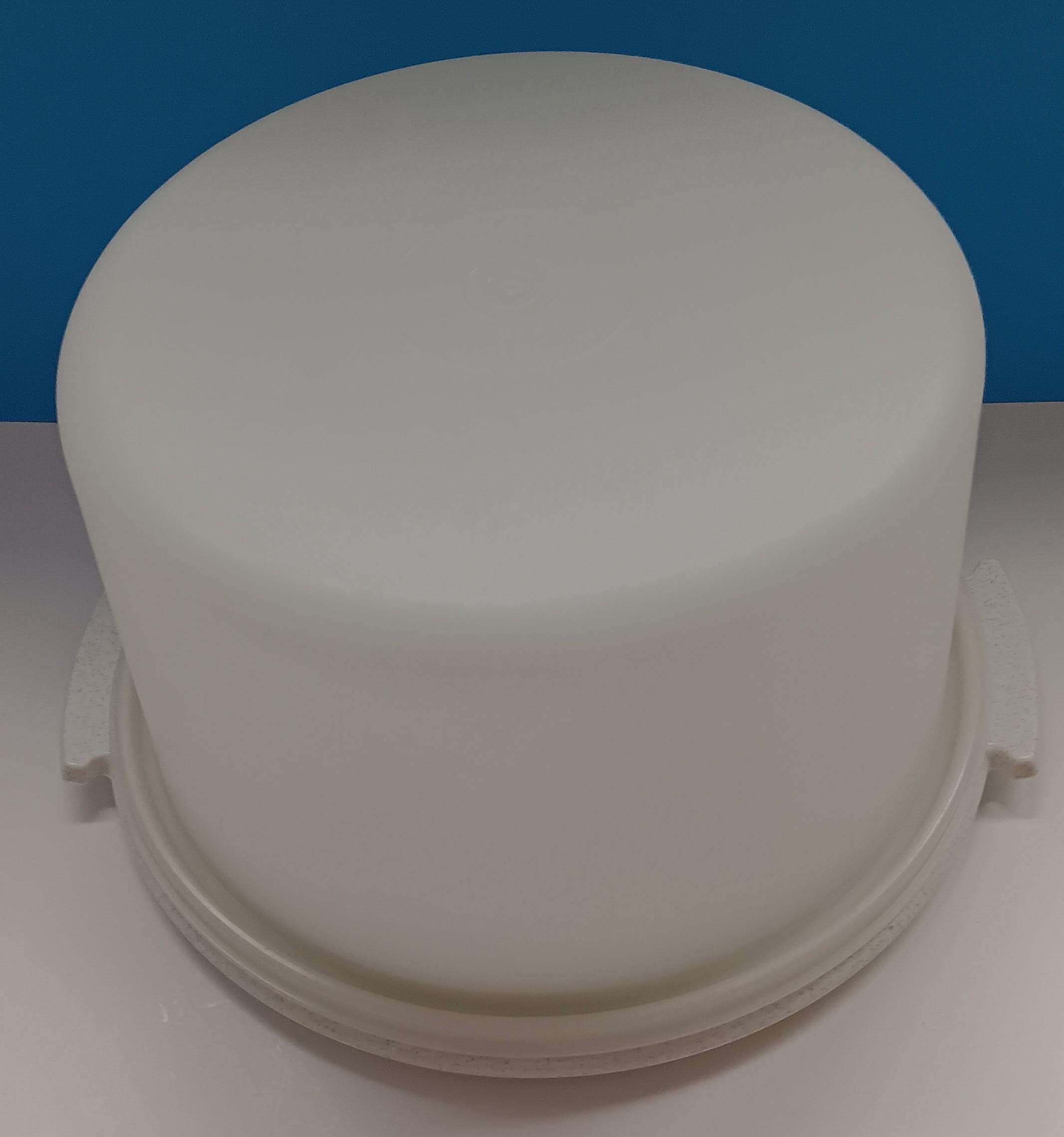 Scatola per Trasporto Sicura per Torte, Porta Cupcake per Uso Alimentare con Coperchio Trasparente, Portatorte Multifunzionale con, Porta Torta Riutilizzabile con Manico per Frutta, Biscotti, Verdure