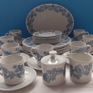 Vintage Whitestone Independence China Set: Floral Ironstone Dinnerware
