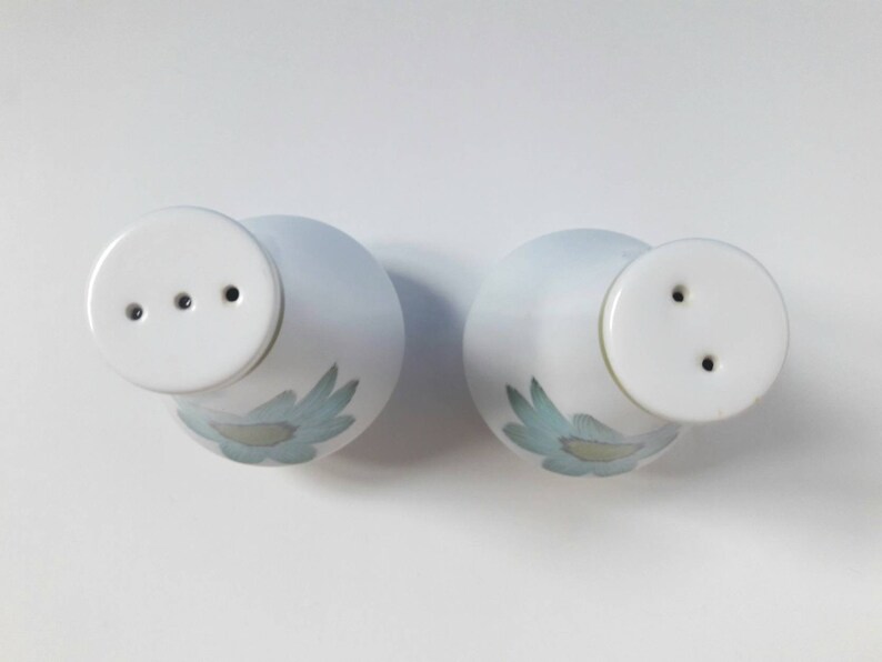 Noritake Japan Vintage Salt And Pepper Shakers. Vintage Noritake Japan Floral Salt And Pepper Shakers Retro Floral Noritake Shakers